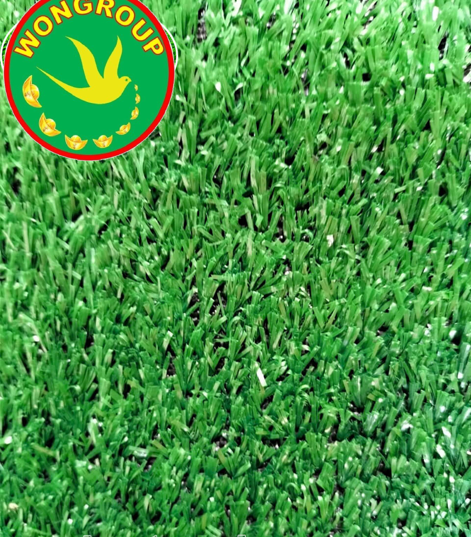 Cỏ sân vườn MV-01R