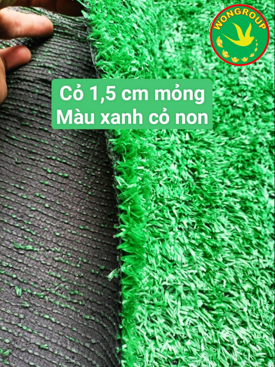 Cỏ sân vườn MV-15R