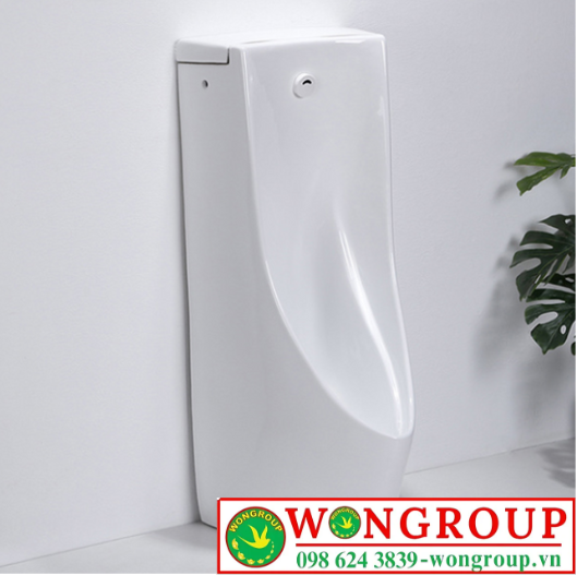 Bồn Tiểu Nam Đặt Sàn Cảm Ứng Cao Cấp WonGroup NV-641