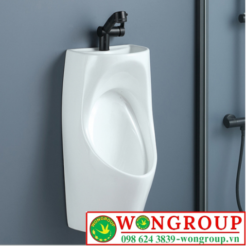 Bồn Tiểu Nam Treo Tường Cao Cấp WonGroup NV-642