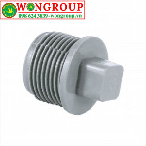 Nút bịt ren ngoài