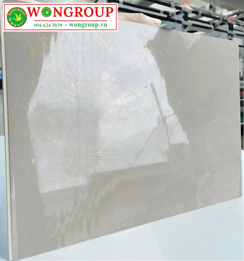 Nano tráng gương MSHS