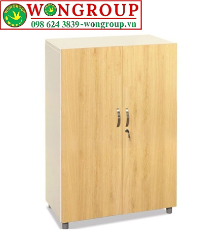 Tủ TSG03-2WG