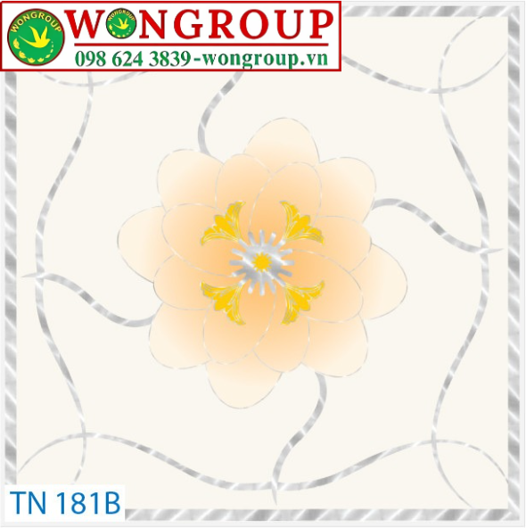 La phông TN 181B