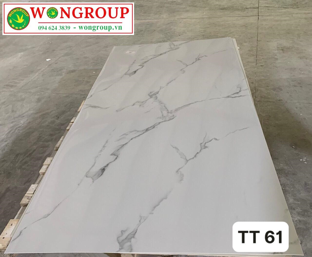 Tấm ốp PVC vân đá TT61