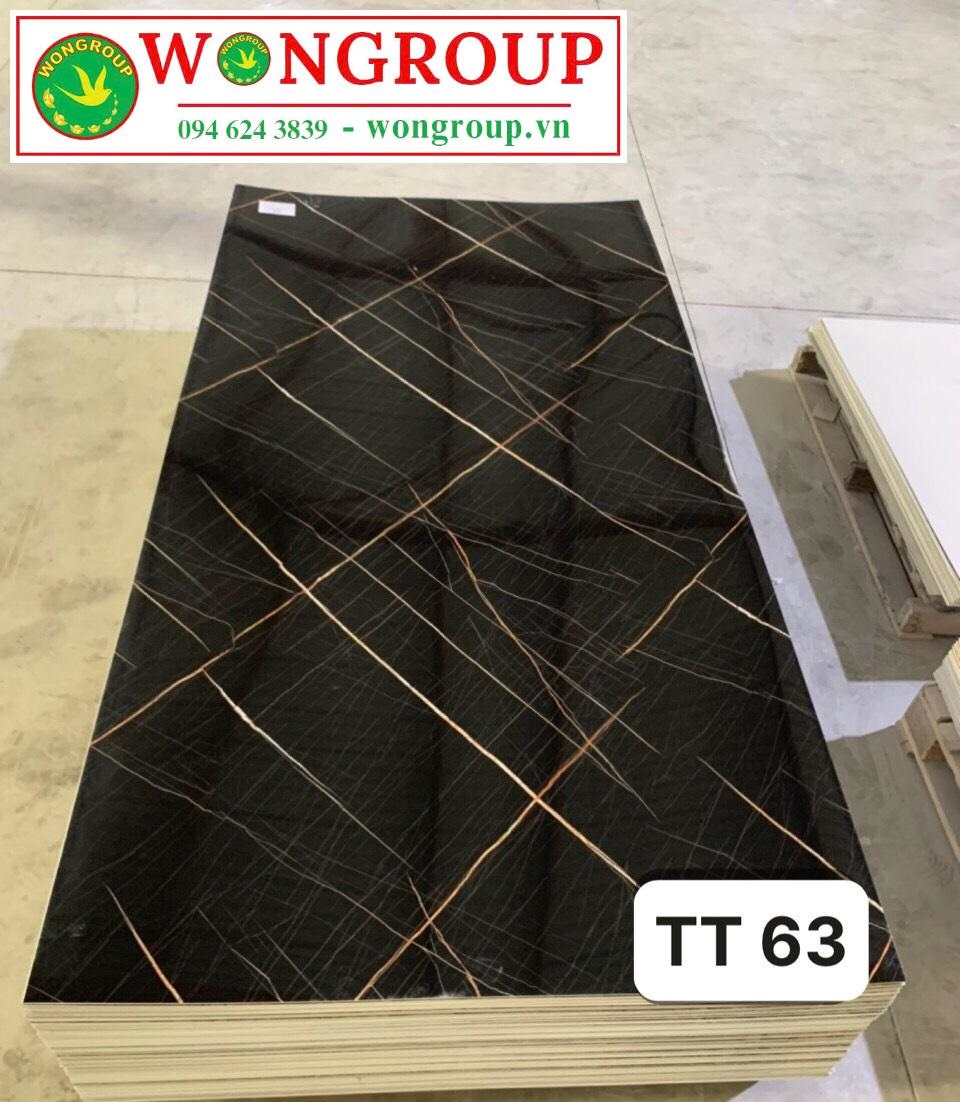 Tấm ốp PVC vân đá TT63