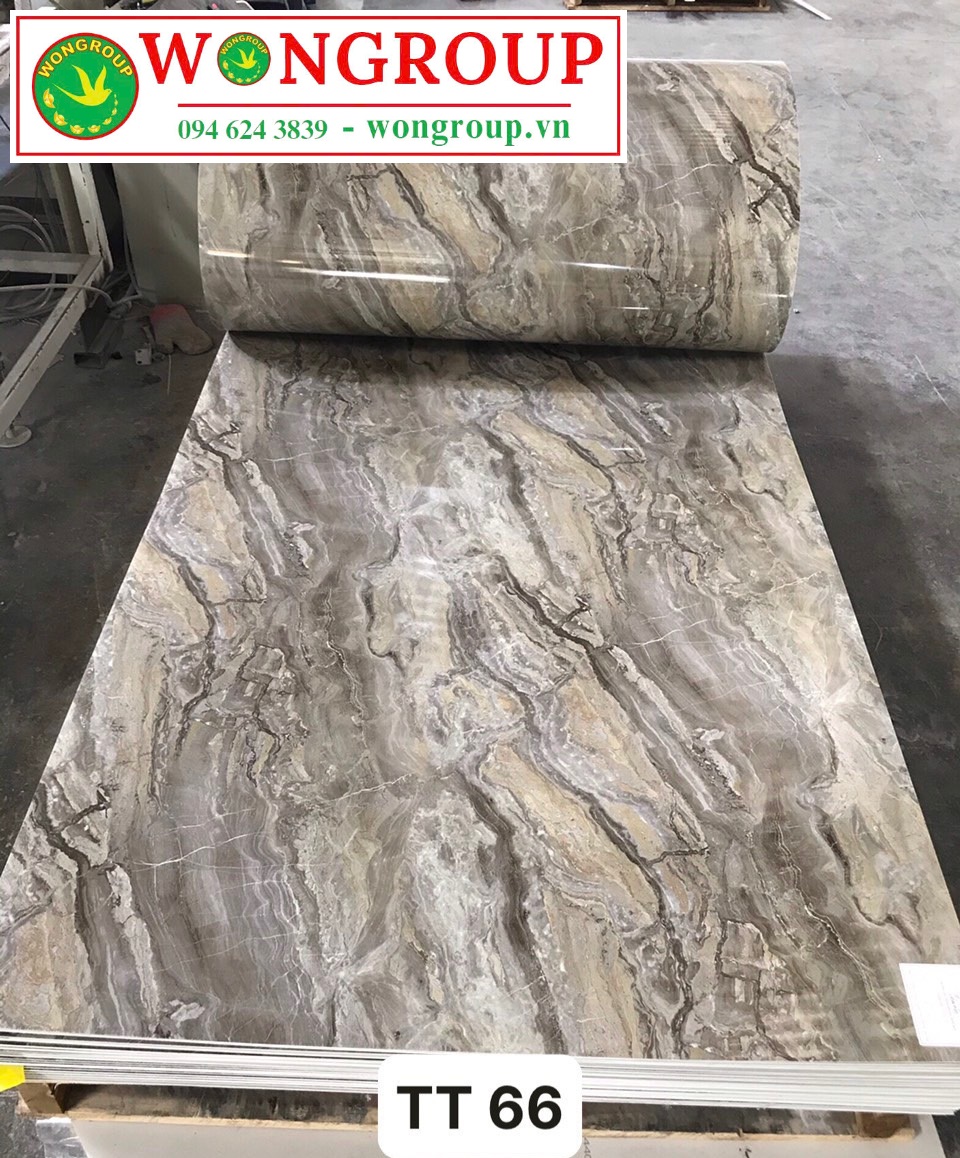 Tấm ốp PVC vân đá TT66