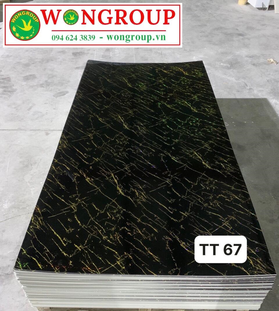Tấm ốp PVC vân đá TT67