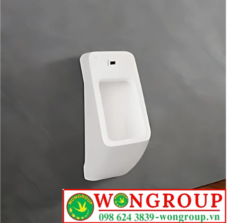 Tiểu nam treo tường xả cảm ứng WonGroup - T61