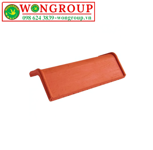 WG NÓI NGÓC 2 ĐẦU