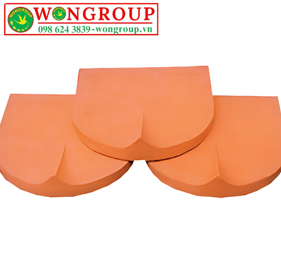 WG NGÓI MŨI HÀI 120