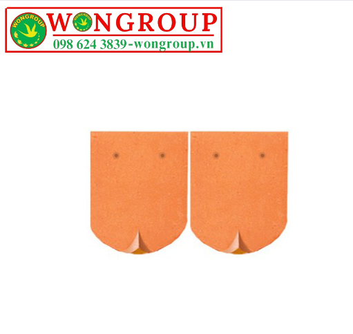 WG NGÓI MŨI HÀI 50