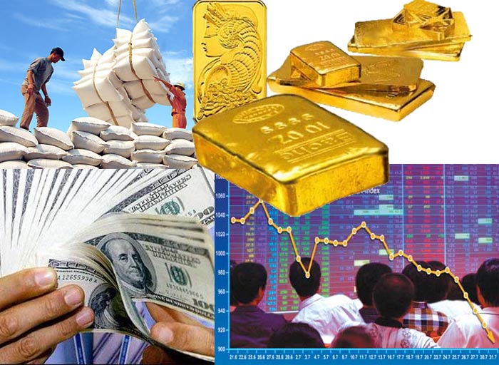 DỊCH VỤ CẦM ĐỒ CÔNG TY WONFC 2023