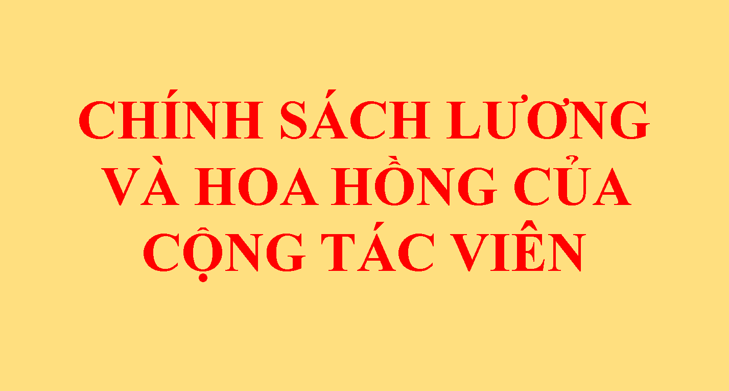 CHÍNH SÁCH DÀNH CHO ĐỐI TÁC LĨNH VỰC DỊCH VỤ - WONSERVICE