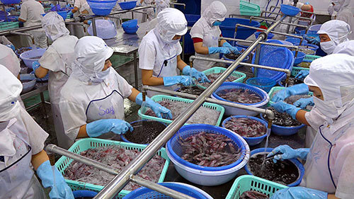 Thủy sản Việt Nam và những kỷ lục ấn tượng nhất từ trước tới nay